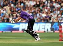 视球员的培 视球员的培