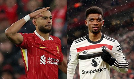 总结来看 总结来看